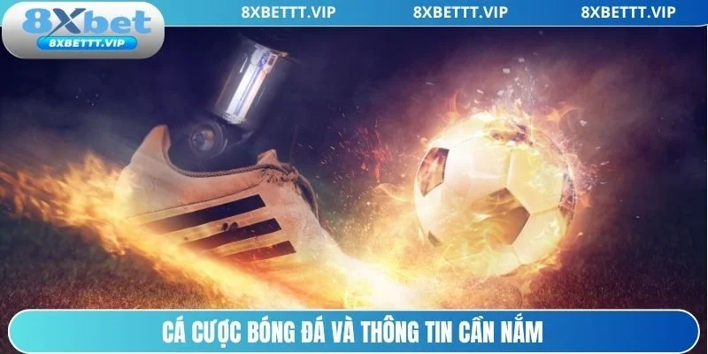 Đôi điều cần nắm về cá cược bóng đá