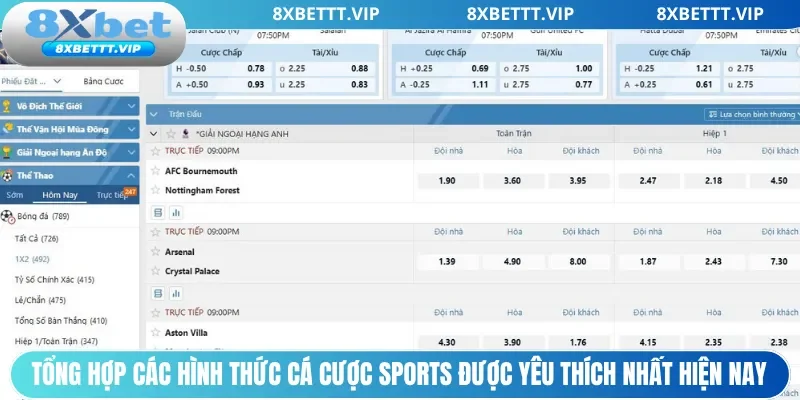 Tổng hợp các hình thức cá cược sports được yêu thích nhất hiện nay
